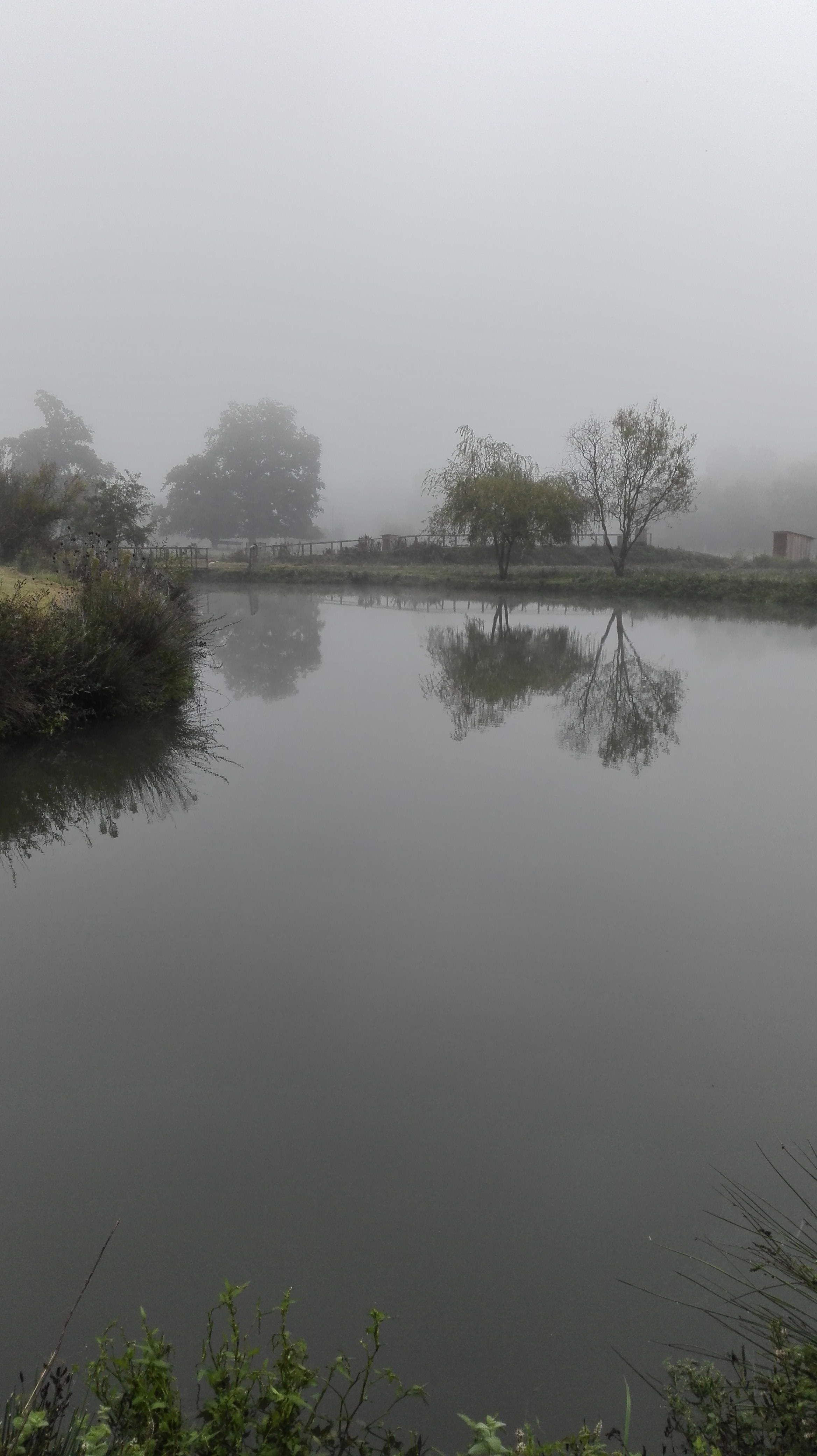 Photo n° 3 de l'avis de le.a fait le 19/09/2017 à 10:28