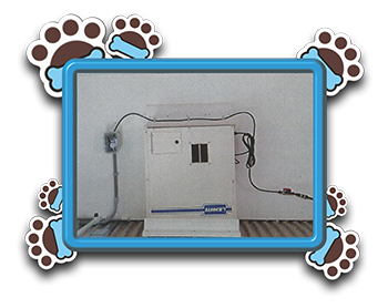 Pet Store «AA Ridgewood Kennels II», reviews and photos, 5401 Lincoln Hwy, Gap, PA 17527, USA