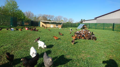 Exoticfarm Speidel Dieter unter Ofterdingen, 