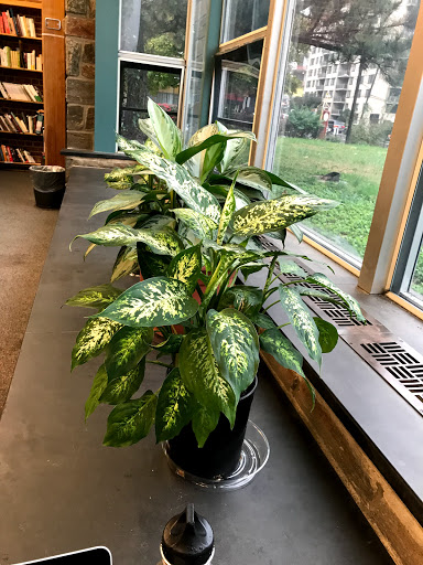 Book Store «Friends of the Library Bookstore», reviews and photos, 8901 Colesville Rd, Silver Spring, MD 20910, USA