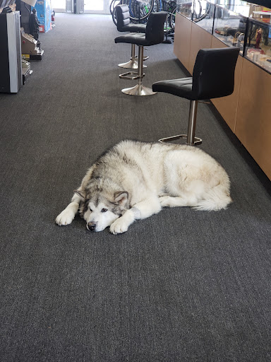 Pawn Shop «Chicago Super Pawn», reviews and photos, 3401 W Fullerton Ave, Chicago, IL 60647, USA