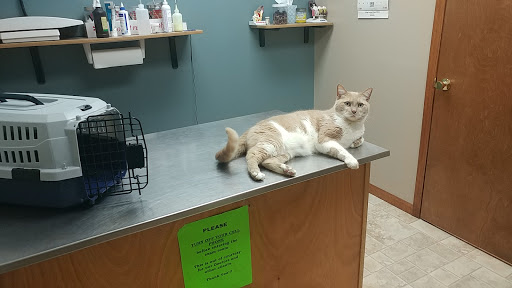 Animal Care Clinic — Dr. Jeff King, DVM; Dr. Jalen King, DVM; Dr. Alex Hegg, DVM image