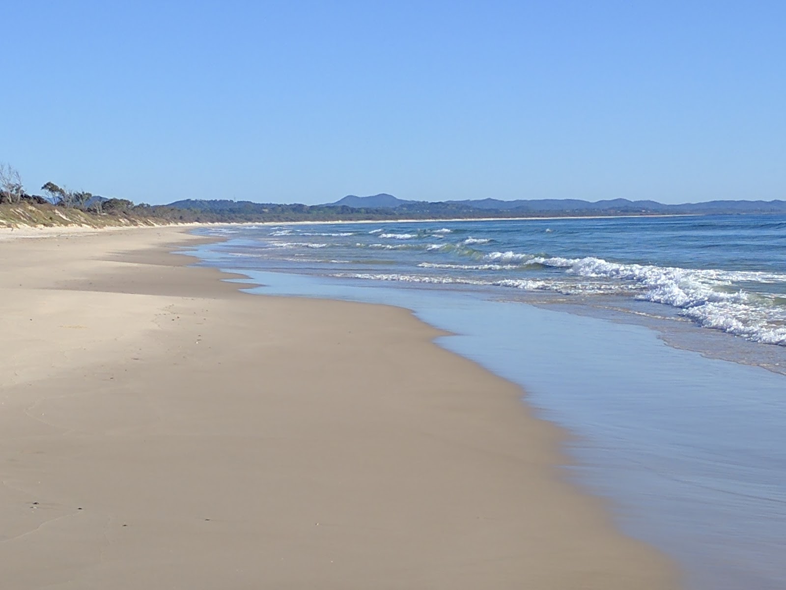 Foto von Tyagarah Beach mit langer gerader strand