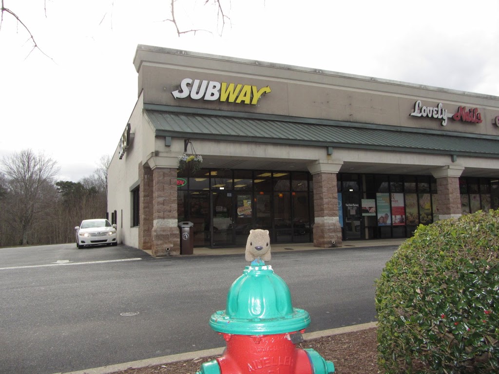 Subway 29356