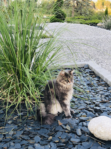 Avis sur ABC Du Jardinage à Clermont-Ferrand - Paysagiste