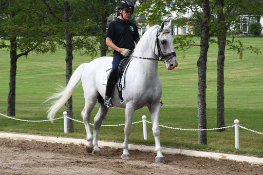 Tourist Attraction «The Tempel Lipizzans», reviews and photos, 17000 W Wadsworth Rd, Old Mill Creek, IL 60083, USA