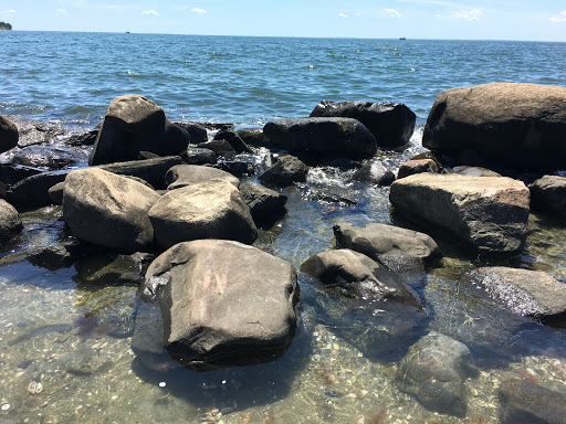 State Park «Silver Sands State Park», reviews and photos, 1 Silver Sands Park Way, Milford, CT 06460, USA