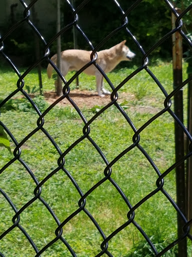 Zoo «Miller Park Zoo», reviews and photos, 1020 S Morris Ave, Bloomington, IL 61701, USA