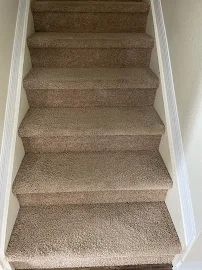 Top of the Line Cleaning Solutions - Car repair in , Clearwater - Rated 5.0/5