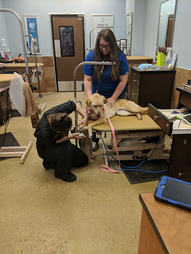 Pet Supply Store «PetSmart», reviews and photos, 271 New Rd, Somers Point, NJ 08244, USA