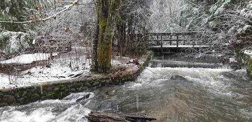 Hoy Creek Trail