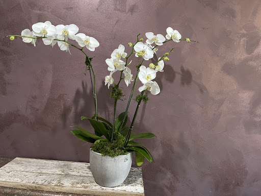 Florist «Foothills Floral Gallery», reviews and photos, 4647 E Chandler Blvd # 10, Phoenix, AZ 85048, USA