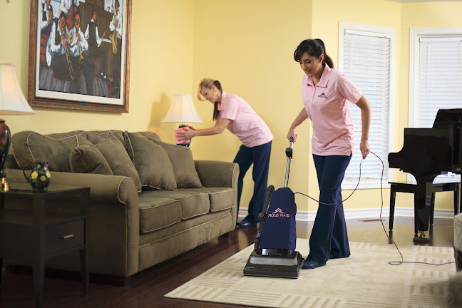 Molly Maid Halifax - House cleaning service