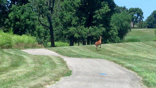 Golf Club «Moss Creek Golf Club», reviews and photos, 1 Club Dr, Clayton, OH 45315, USA