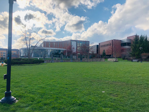 University «Rochester Institute of Technology», reviews and photos