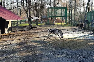 Grădina Zoologică Bucov (Ploiești) image