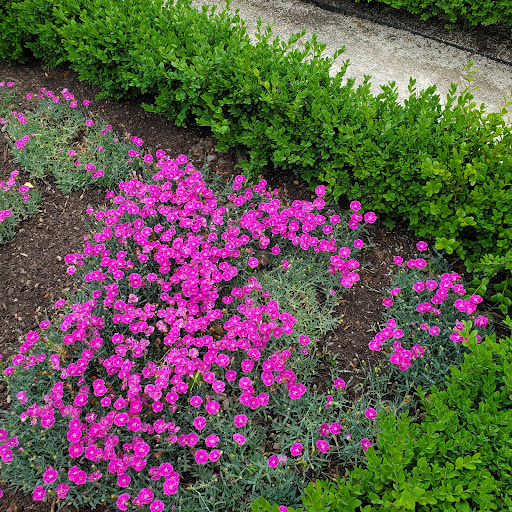 Golf Course «Preakness Valley Golf Course», reviews and photos, 209 Totowa Rd, Wayne, NJ 07470, USA