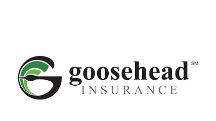 Goosehead Insurance - Lisa Link