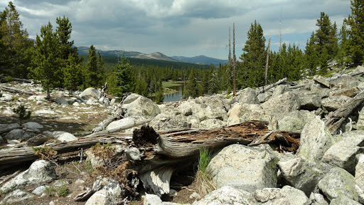 National Forest «Bighorn National Forest», reviews and photos
