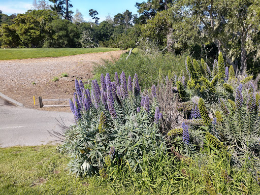 Golf Course «Del Monte Golf Course», reviews and photos, 1300 Sylvan Rd, Monterey, CA 93940, USA