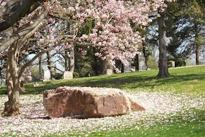 Woodland Cemetery and Arboretum image