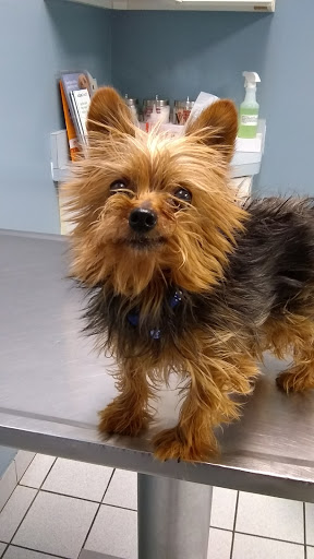 10930 Yale Rd, Brockway, MI 48097, USA