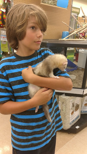 Pet Supply Store «Petco Animal Supplies», reviews and photos, 205 Palm Bay Rd NE #155, West Melbourne, FL 32904, USA