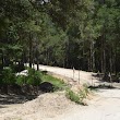 Withlacoochee-Dunnellon Trail connector