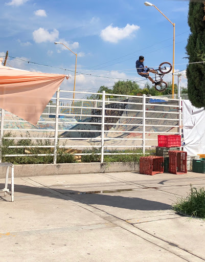 Skate Park Guadalupe