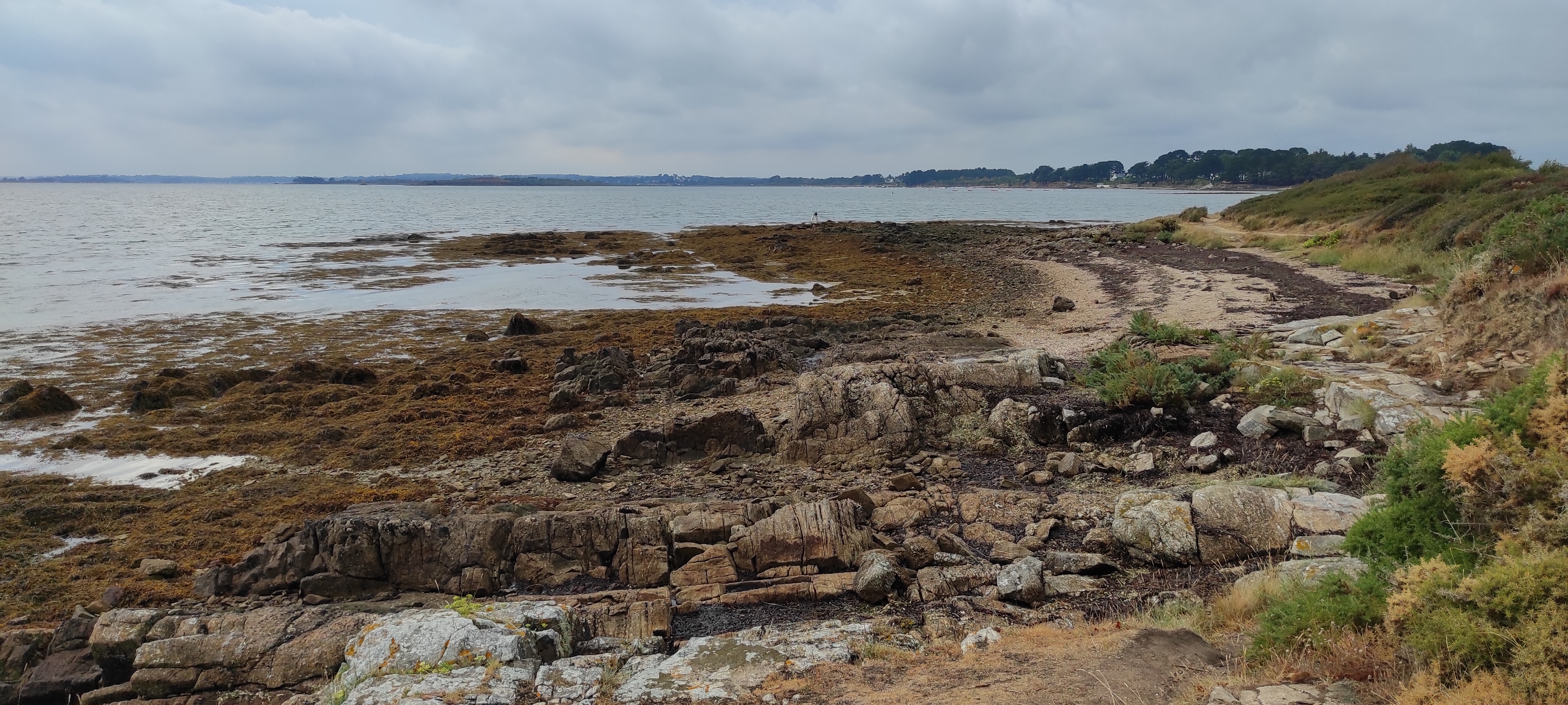 Photo n° 8 de l'avis de Guillaume.a fait le 14/08/2022 à 18:19