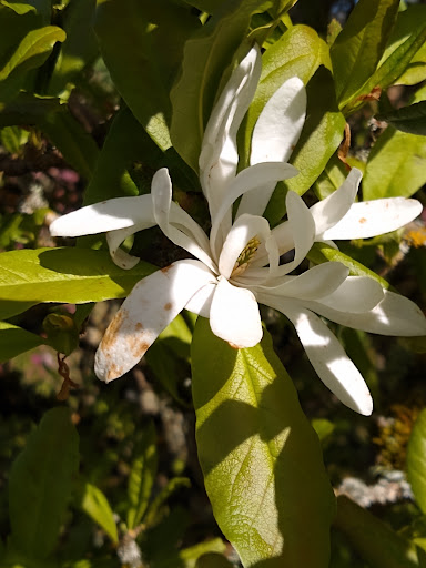 Vineyard «Cristom Vineyards», reviews and photos, 6905 Spring Valley Rd NW, Salem, OR 97304, USA