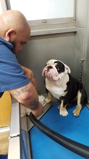 Pet Supply Store «Pet Supreme», reviews and photos, 12823 Foothill Blvd, Sylmar, CA 91342, USA