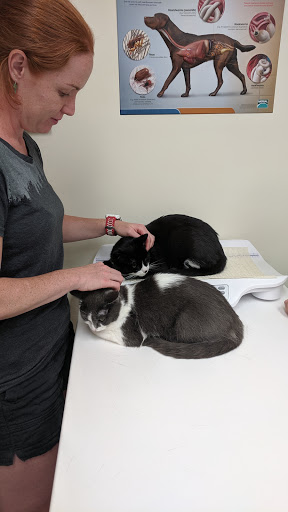 Bridlewood Animal Hospital image