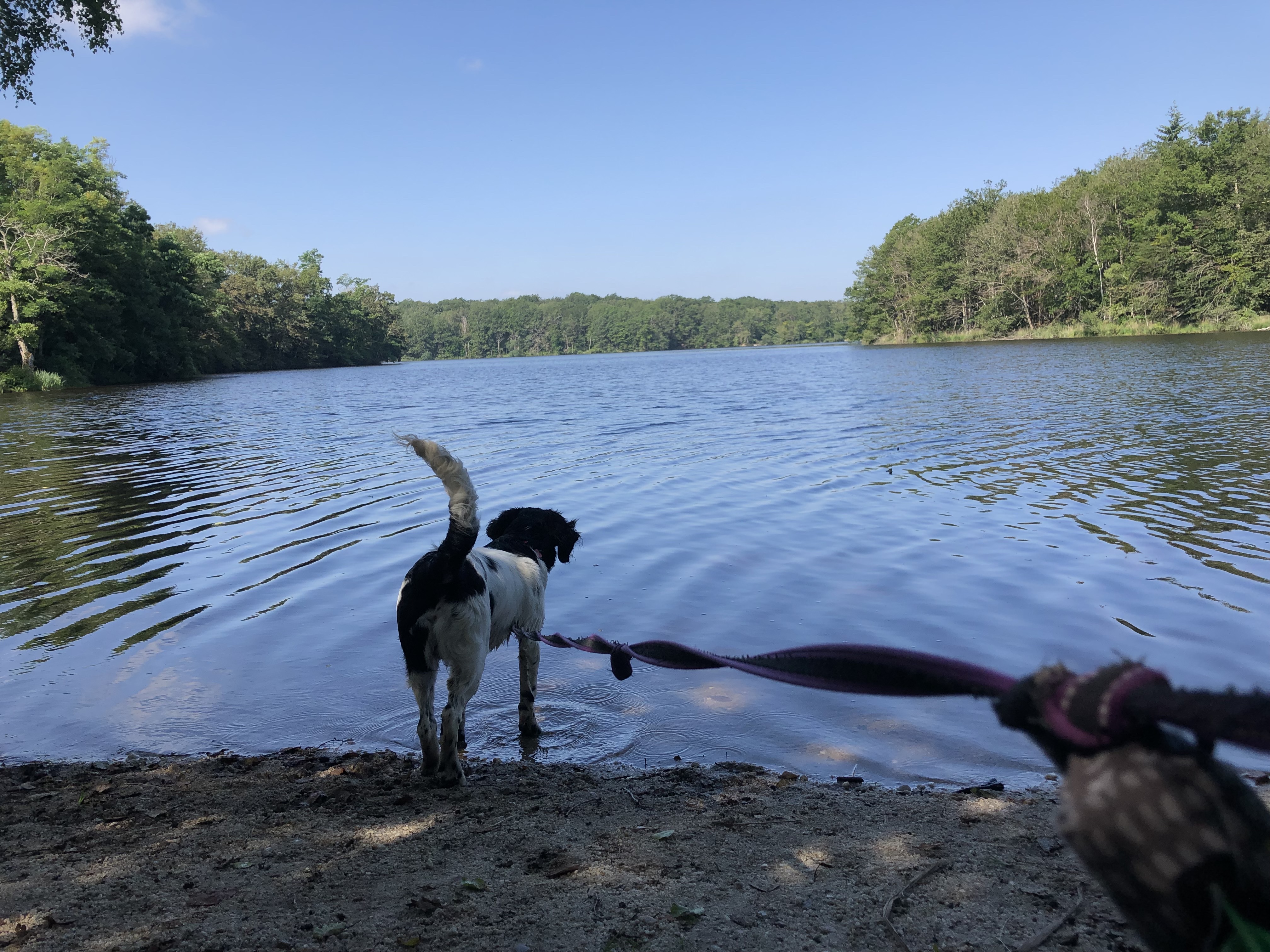 Photo n° 2 de l'avis de Tom.o fait le 12/08/2021 à 18:21