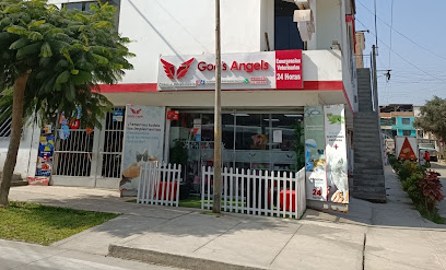Clinica Veterinaria God's Angels - Sede Av. Central