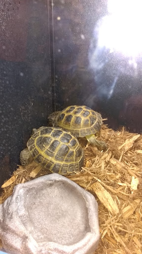 Pet Supply Store «PetSmart», reviews and photos, 1919 Wells Rd, Orange Park, FL 32073, USA