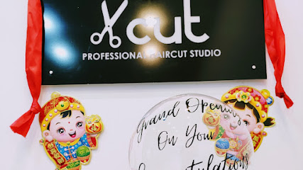 Xcut Professional Haircut Studio
