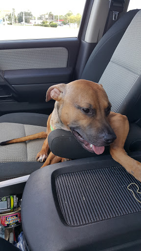 Office Supply Store «Office Depot», reviews and photos, 3437 Denny Ave, Pascagoula, MS 39581, USA