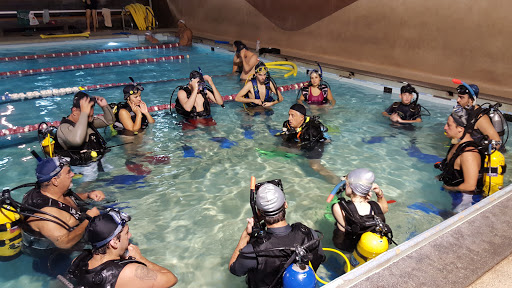 Yo Buceo Diving School