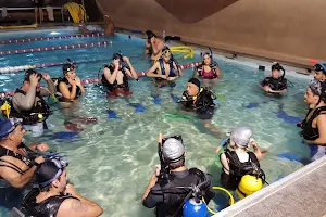 Yo Buceo Diving School image