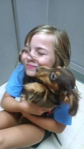 Pet Store «Petland», reviews and photos, 920 Hebron Rd, Heath, OH 43056, USA