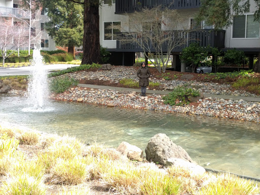 Spruce Apartments image