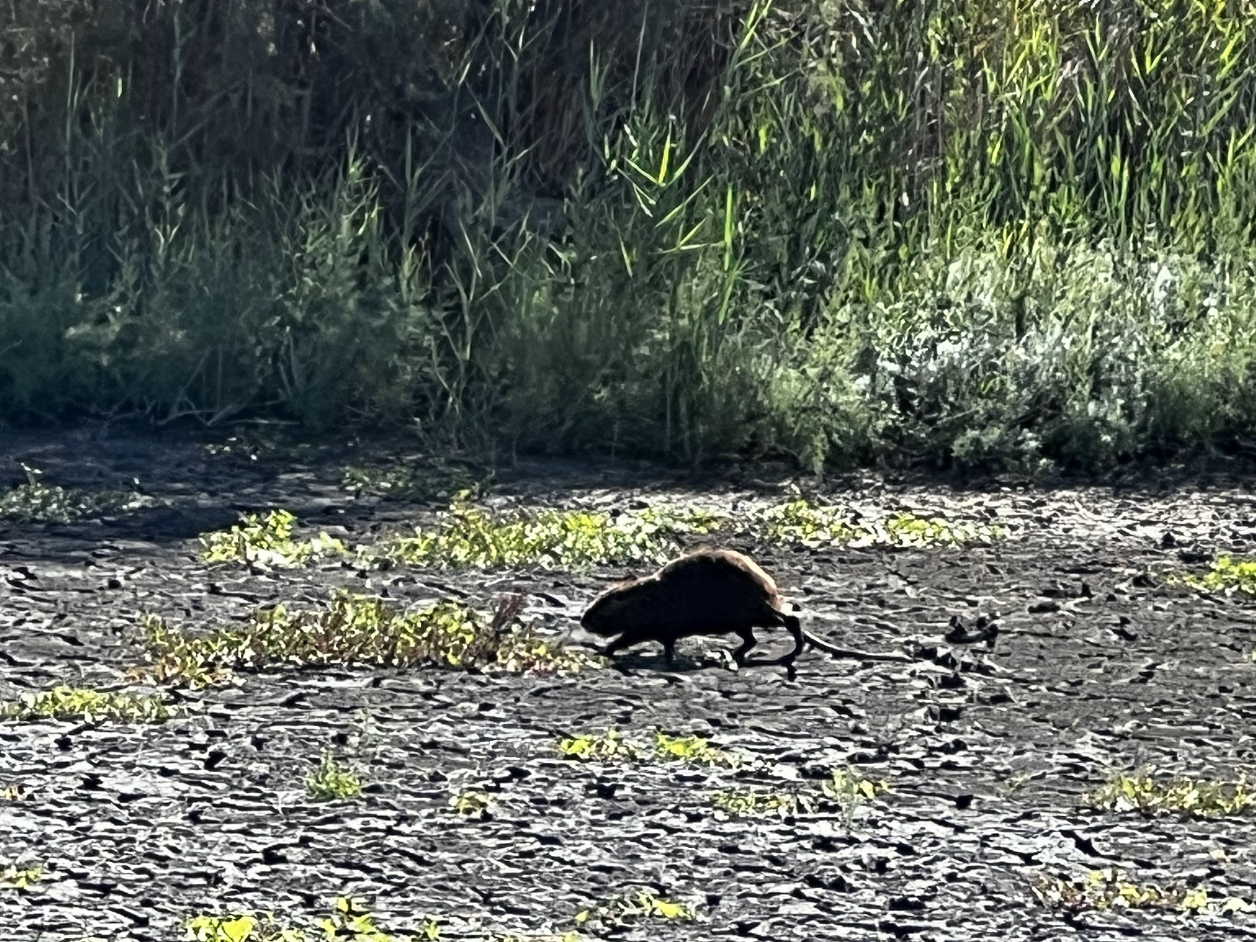 Photo n° 19 de l'avis de Jean-yves.o fait le 09/10/2023 à 14:29