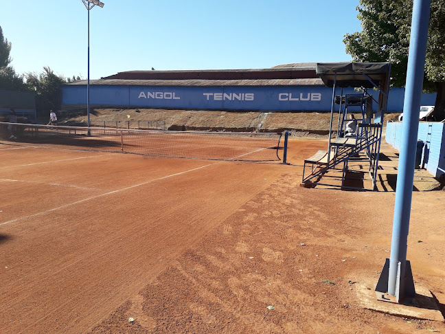 Opiniones de Angol Tennis Club en Angol - Tienda de deporte