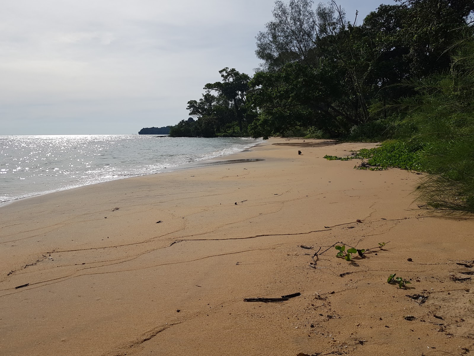 Foto de Lady's Headland con agua cristalina superficie