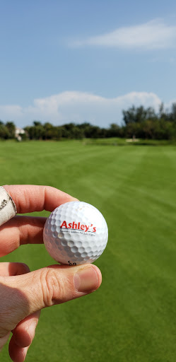 Golf Club «Sanctuary Golf Club», reviews and photos, 2801 Wulfert Rd, Sanibel, FL 33957, USA