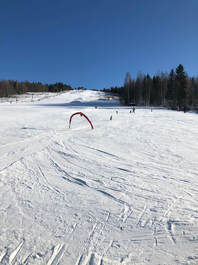 Rättviks Slalombacke & Sommarrodelbana