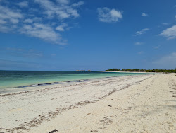 Photo de Michamvi Sunset Beach zone des équipements