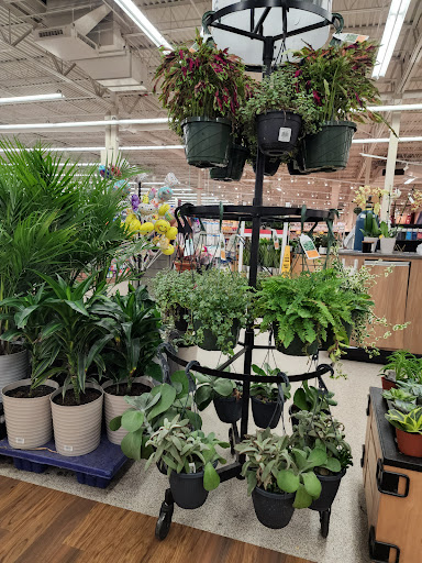 Grocery Store «Meijer», reviews and photos, 36600 Van Dyke, Sterling Heights, MI 48312, USA