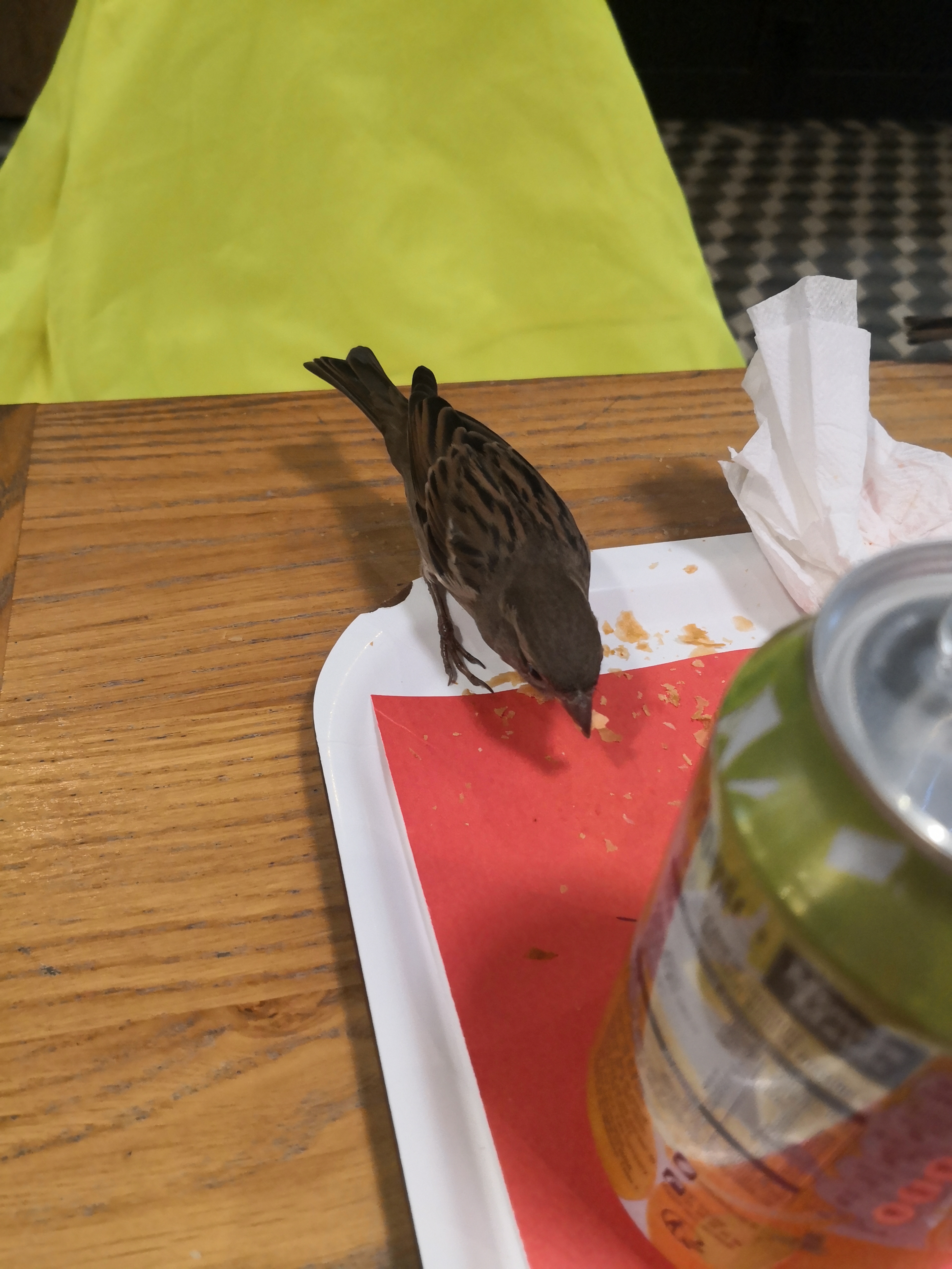 Photo n° 3 de l'avis de Pascal. fait le 28/11/2019 à 09:50
